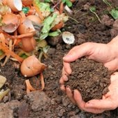 Hazardous waste icon