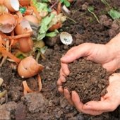 Photo of battery that has exploded. 